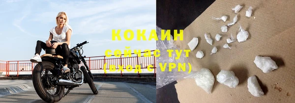 винт Ельня