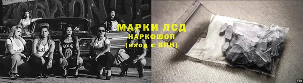 винт Ельня