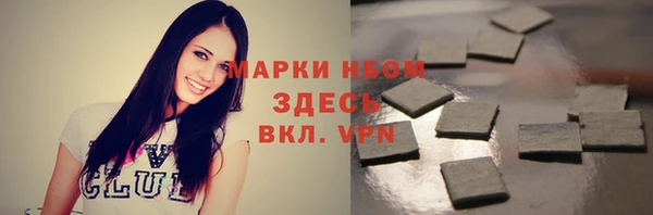 молекула духа Елабуга