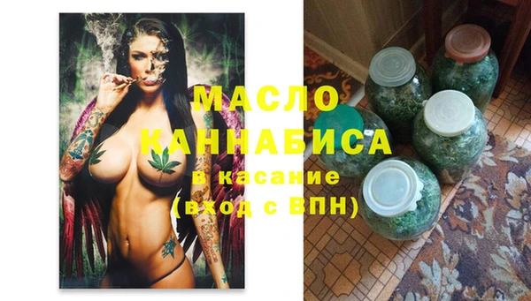 молекула духа Елабуга