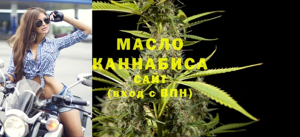молекула духа Елабуга