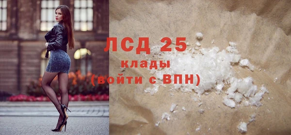 молекула духа Елабуга