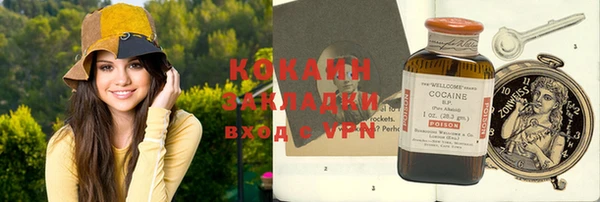 винт Ельня