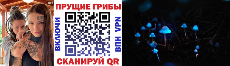 Псилоцибиновые грибы GOLDEN TEACHER  Тюмень 